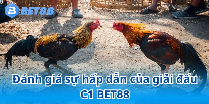 Đá Gà C1 BET88 - Thế Giới Của Những Chiến Kê Dũng Mãnh 8 Bật mí kinh nghiệm đá gà C1 bất bại giúp người chơi thắng lớn
