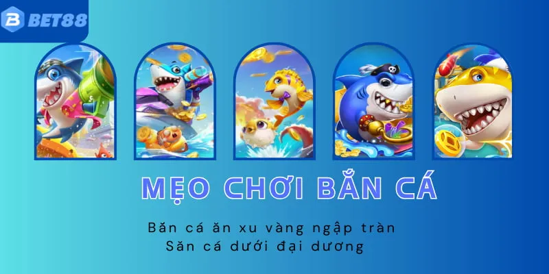 bắn cá bet88 8 Bạn nên áp dụng thêm chiến thuật săn cá của các tay súng lâu năm